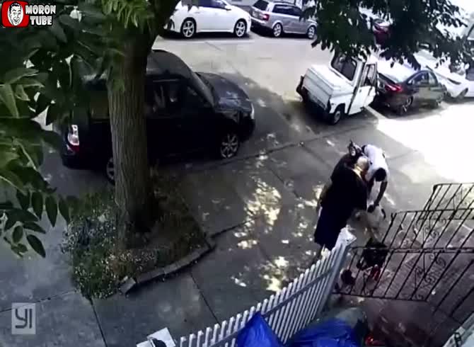 Video :A real asshole steals a 75-year-old man's puppy in New York